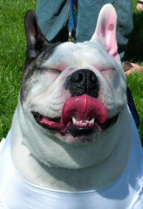 Big Smile