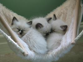 Snuggly Pajama Party