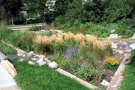 Rain Garden Planting