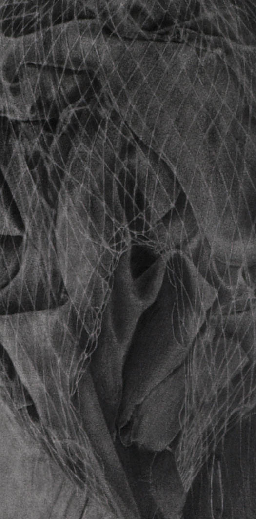 Net 1 Amanda Robins pencil on paper, 2008, detail of drawing