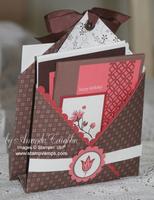 Dots & Designs Cards and Double Sided Pouch