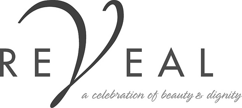 Reveal logo