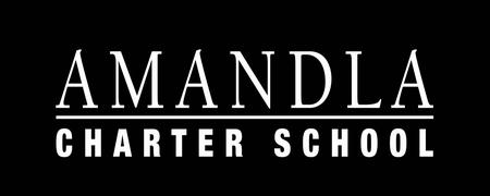 Amandla Charter School Fundraiser - 