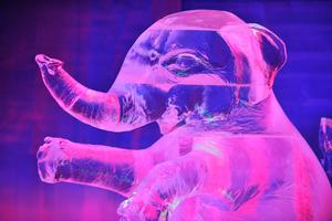 Winterlude Ottawa Photo Safari By Night - Ice and Snow...