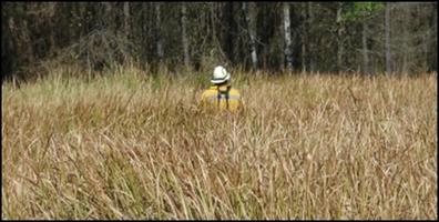 Florida & Caribbean Fire & Invasives 2nd. Workshop  Dec...