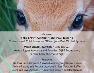 The Wild Brunch - Features
