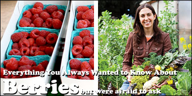 Berries
