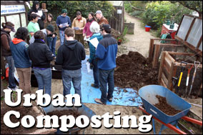 Urban Composting