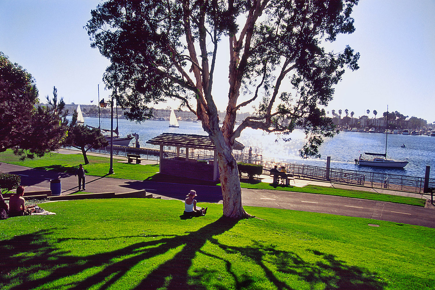 BC Park