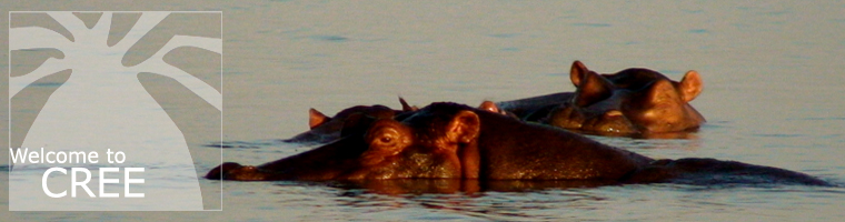 CREE Logo... with Hippos!