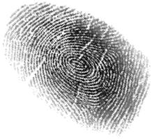 IDENTITY THEFT: Protect Yourself, Your Business, Your...