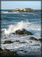 Creativity Workshop in Carmel-by-the-Sea