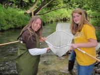 Students looking for Stream Bugs