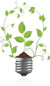Green Ideas Green Ideas