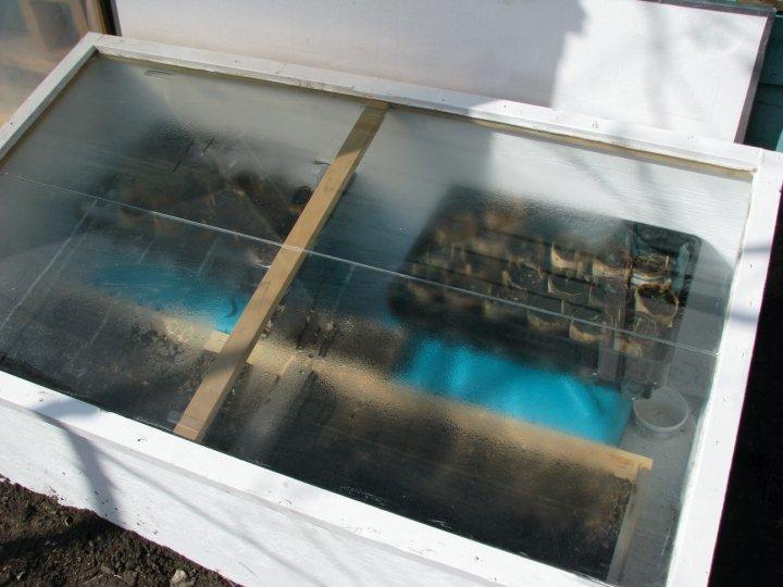 Extending the Growing Season II Cold Frame