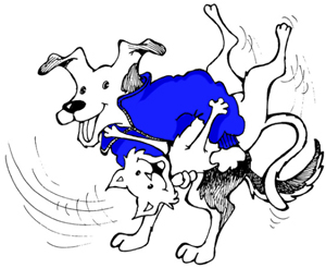FFR dog and cat FFR dog and cat