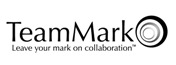 Team Mark logo