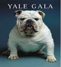 Yale GALA Logo Yale GALA Logo