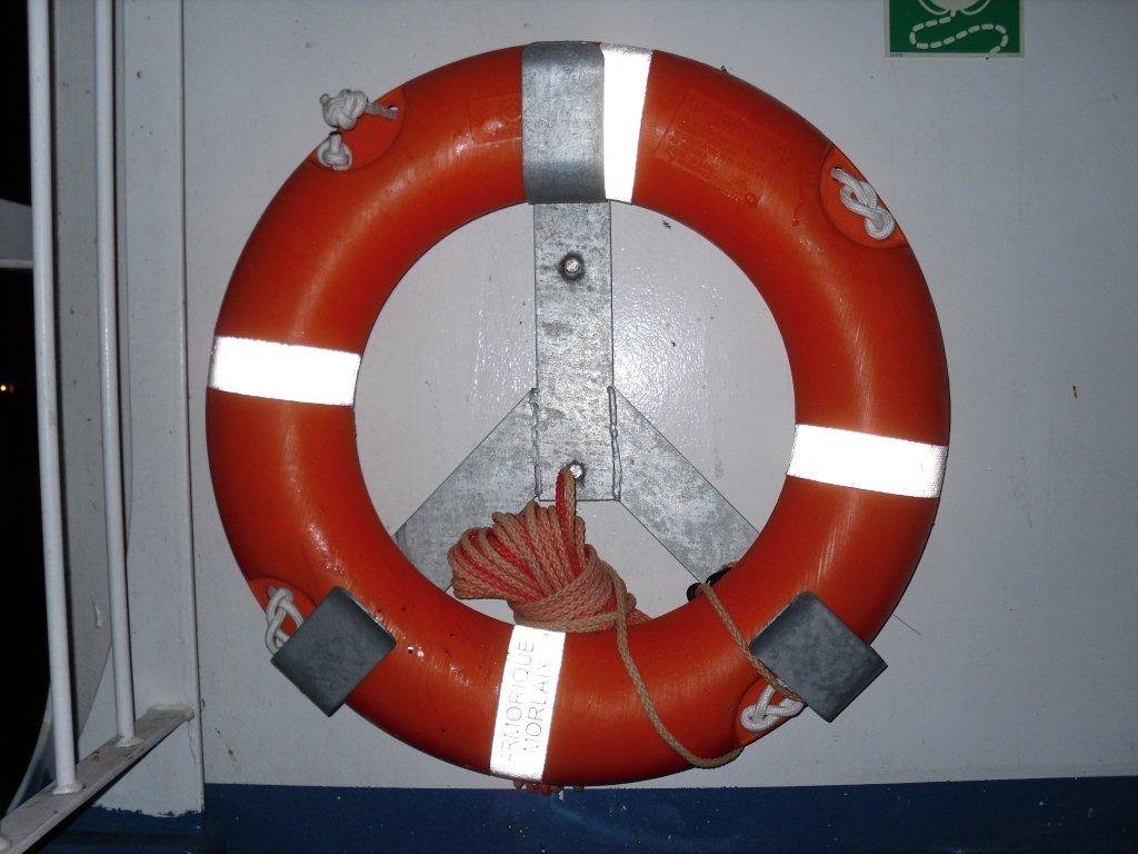 Level 2 Health and Safety Safety ring