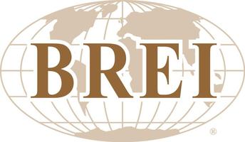 BREI- Developing a World Class Economic Development Web Site