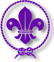World Scouting