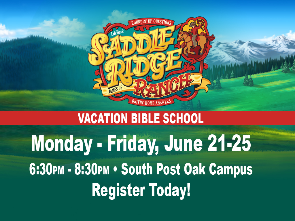 VBS General Information