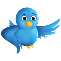 How to Use Twitter: a practical introduction for tech timid...
