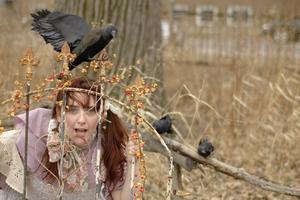 The Dastardly Ficus & Other Comedic Tales of Woe & Misery