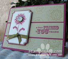YC Naz Free Stamp Night