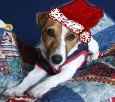 Fun & Fab Thanks 2 You! Santa Sampler