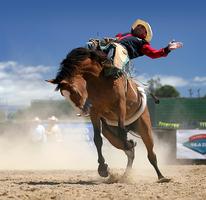 Amazing Blog Photos With Flickr