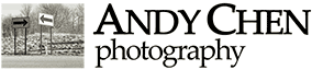 Fine Art Digital Printing