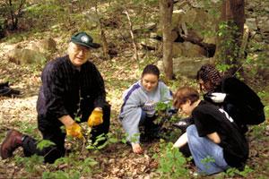 Earth Day Garlic Mustard Pull & Habitat Restoration