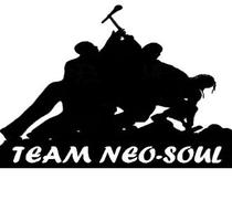 Please Help Support the 2009 Neo-Soul Slam Team