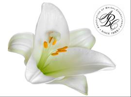 ABC Expanding Horizons: Let Your Business Blossom -...