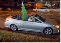 Participants from prior Candy Cane Cruise
