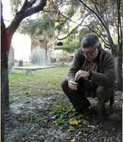 A Conversation With Artist/Archeologist/Flea...
