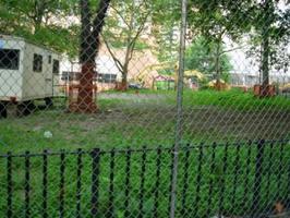 Urban Gardening Volunteer Day with VPF investee, Concrete...