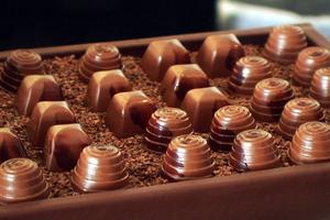 2nd Annual 2009 Seattle Luxury CHOCOLATE SALON