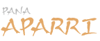 APARRI 2008   (Re)Defining Religious Studies: The Next...