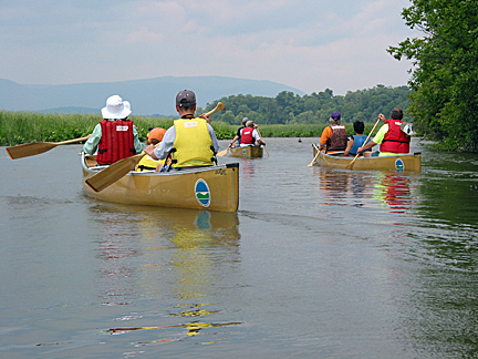 Group paddling at Tivoli North Bay.
