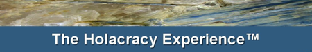 The Holacracy Experience, Amsterdam