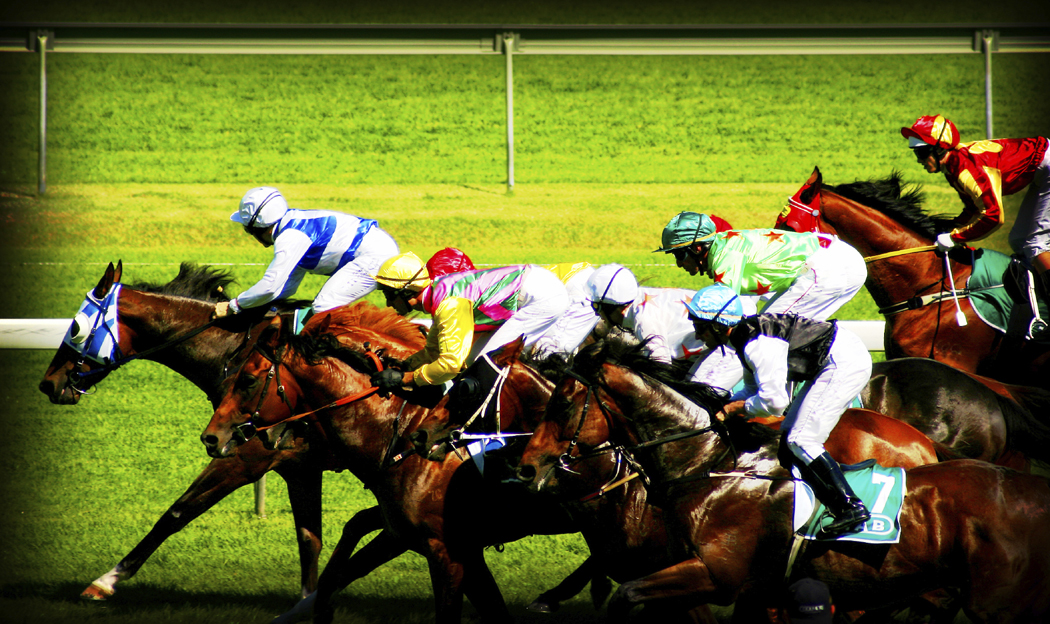 Day at the Races Horse racing