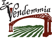 Italian Wine: Basics and Beyond With Vic Harradine