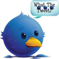 What The Tweet Is Social Media?