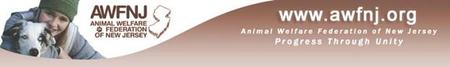 AWFNJ Seminar - Create and Maintain a Successful Volunteer...