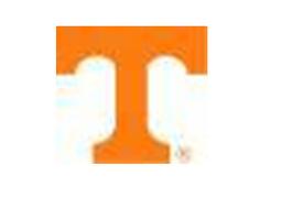 ATLANTA BIG ORANGE CARAVAN