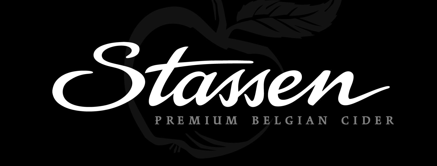 stassen logo