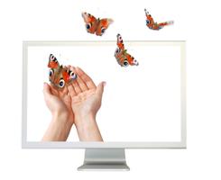 Mac & iLife iPhoto, iMovie, iDVD, iWeb, GarageBandworkshops...